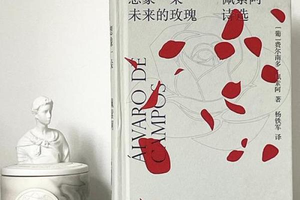 漂泊的命运:寻求归属与心灵的觉醒 漂泊的命运:寻求归属与心灵的觉醒