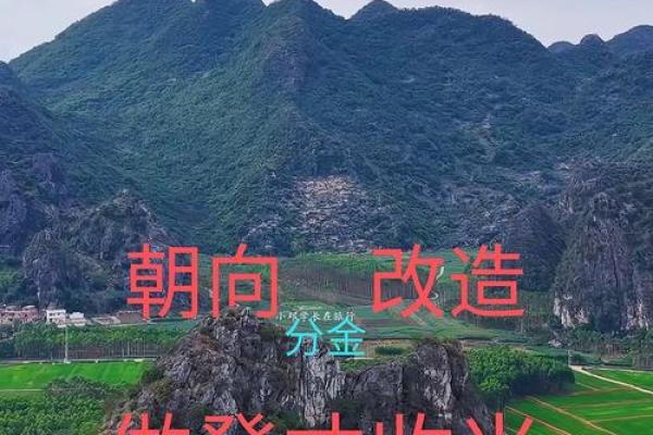 山头火命与风水的完美搭配：开启人生的新篇章