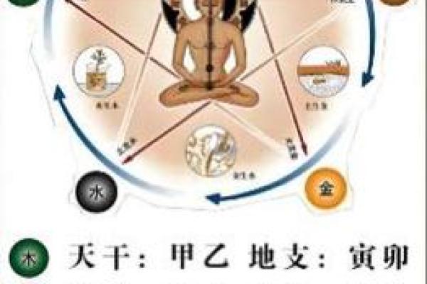 金命宽的八字命理解析：运势、财富与性格的深度剖析