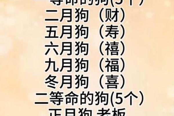 什么狗什么命：揭秘狗狗与命运的奇妙关系