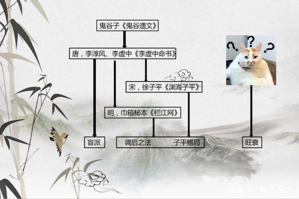 命柔解密：探究命理的深厚哲学与生活中的应用