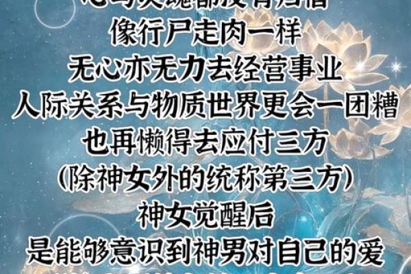 揭秘凤凰命:用什么字代表的神秘寓意 揭秘凤凰命:用什么字代表的神秘寓意