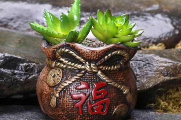 海中金命的人适合养哪些花,提升运势与气质! 海中金命的人适合养哪些花,提升运势与气质!