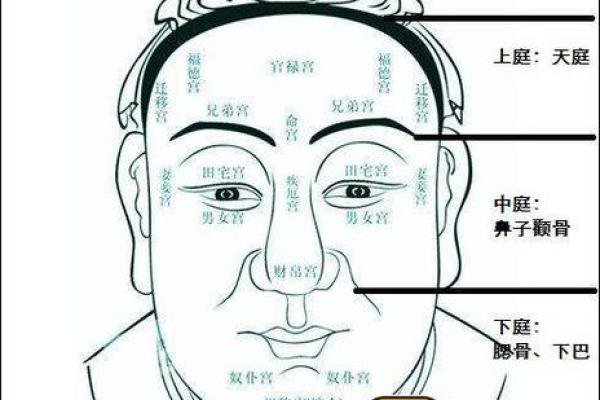 下巴方圆的男人,命运与性格的深刻关联 下巴方圆的男人,命运与性格的深刻关联