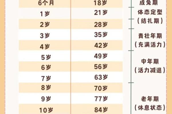 2003年兔年命理解析:揭示兔子的性格与命运之谜 2003年兔年命理解析:揭示兔子的性格与命运之谜