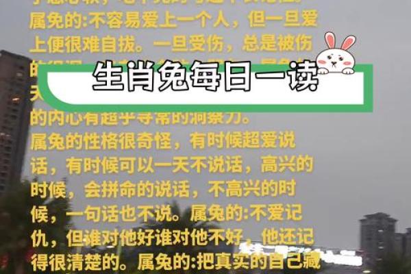 1982年出生的兔命,人生旅途的灵动与智慧 1982年出生的兔命,人生旅途的灵动与智慧