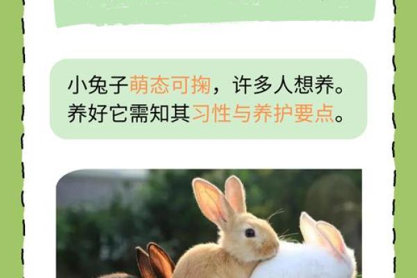 兔宝宝命理解析:如何让新生儿拥有一个好命运 兔宝宝命理解析:如何让新生儿拥有一个好命运