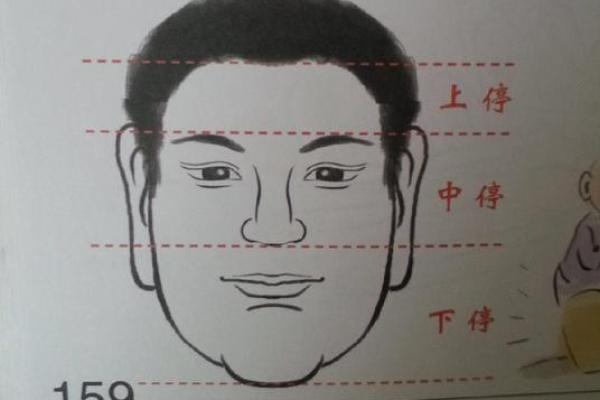 揭开数字的奥秘:透视2003年出生者的人生命运与性格特征 揭开数字的奥秘:透视2003年出生者的人生命运与性格特征