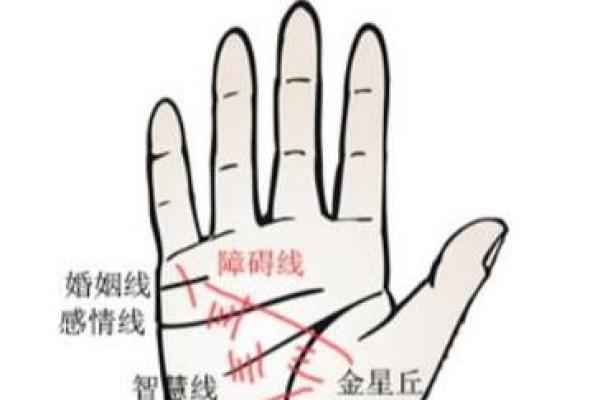 通过五条手纹解析男生命运：每个细节都藏着未来的秘密