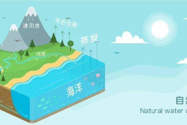 探索命运的奥秘：根据生辰揭示你的潜在力量