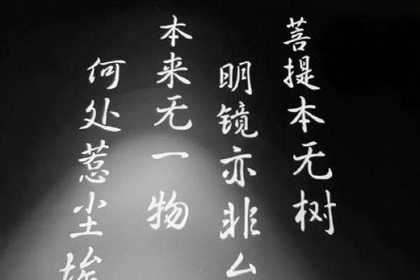 命运沉浮：人生如梦，时光荏苒，何去何从？