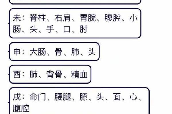 女命中事业财运的关系与影响解析