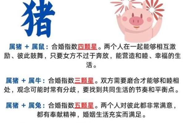 属猪命都好命的原因：福气、性格与运势的完美结合