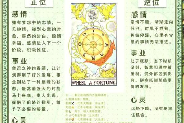 探索命运的奥秘:看看我是什么命的特效运用 探索命运的奥秘:看看我是什么命的特效运用