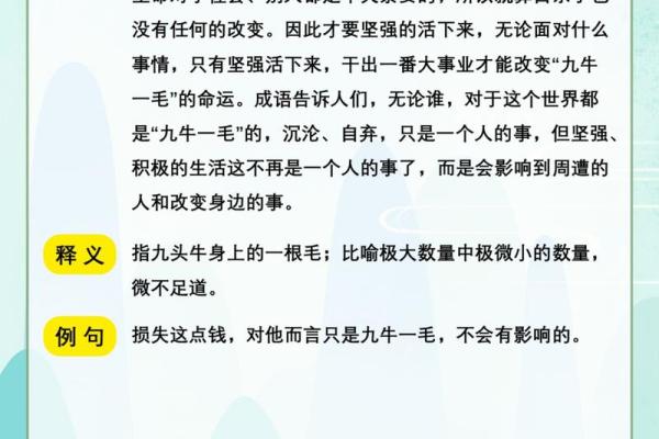 命运与机遇的博弈：走进成语“命什么西”的深意