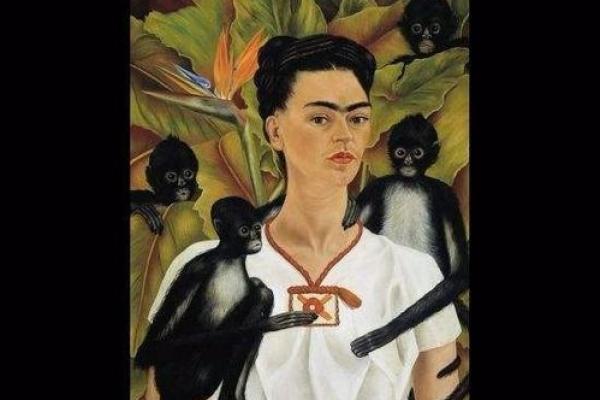 睫毛长白毛的秘密：揭示命运的独特符号