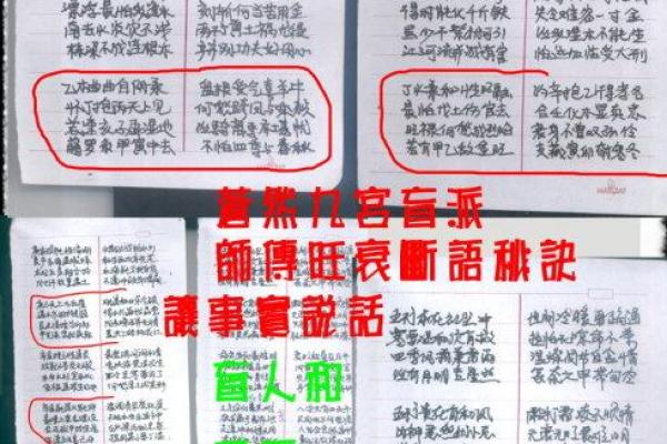 盲人算命的智慧:如何通过命理为人生导航 盲人算命的智慧:如何通过命理为人生导航