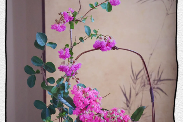 探讨紫薇命运:为何紫薇命总被认为不好运? 探讨紫薇命运:为何紫薇命总被认为不好运?