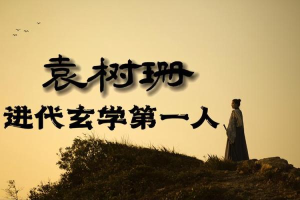 理解命奇人弃：生活中的抉择与命运的交织