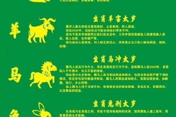 2020鼠年男宝宝命运解析：命理与性格的完美结合