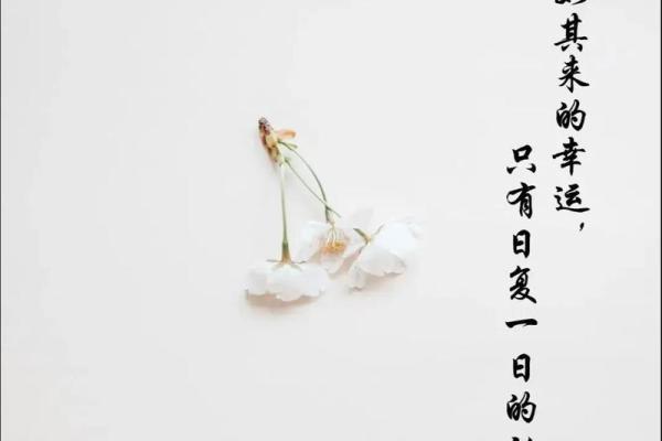 人生哲学：随心所欲，顺其自然的命运之道