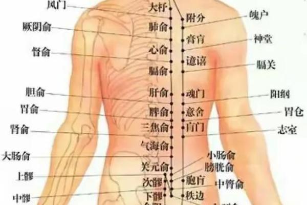 男人屁股肉少的背后:身体与命运的奇妙联系 男人屁股肉少的背后:身体与命运的奇妙联系