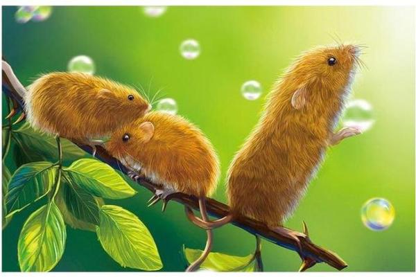 1914年出生的人：生肖马与命运的神秘之旅