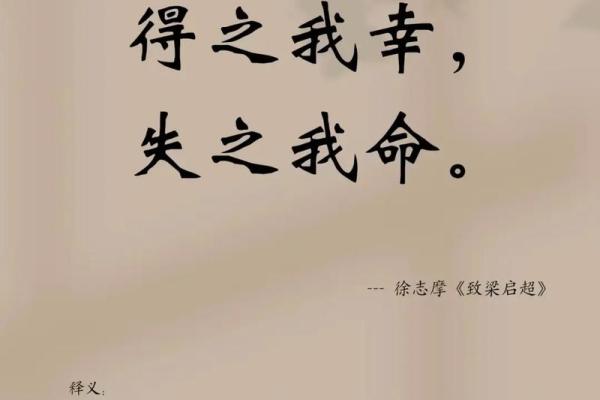 探究壬申丁未辛丑戊子命理之道：命运的密码与人生的启示