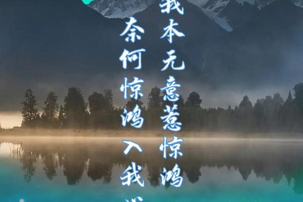 探寻“入身入命”：命运与自我的共舞之旅