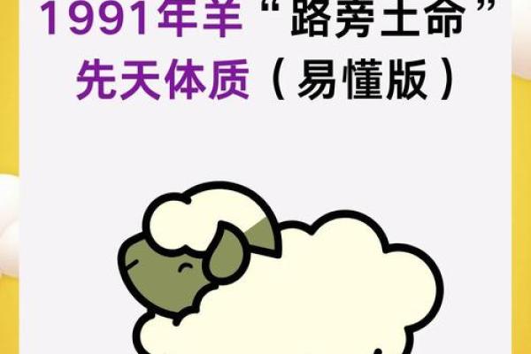 2003年属羊人的命理分析与生活启示