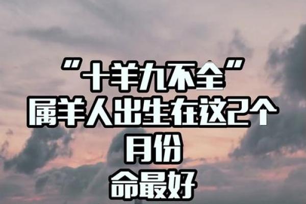 2003年属羊人的命理分析与生活启示