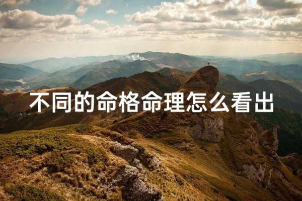 秋季命格的秘密：探寻属于你的命理之路