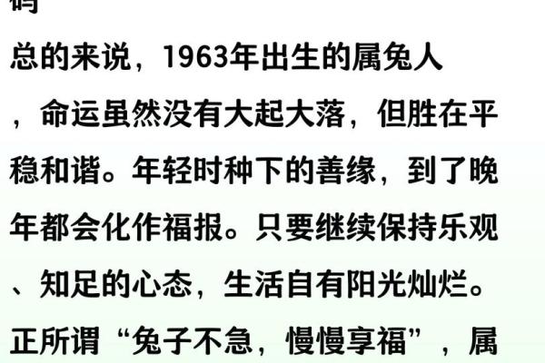 1986年兔年出生者的命运与性格探讨
