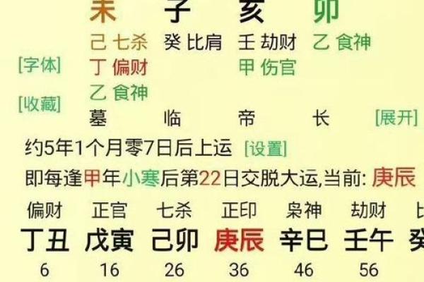 癸亥年生人的命运解析：亥时出生的独特影响与人生轨迹