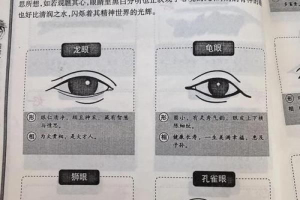 男人的眼眉形状与命运的秘密探寻 男人的眼眉形状与命运的秘密探寻