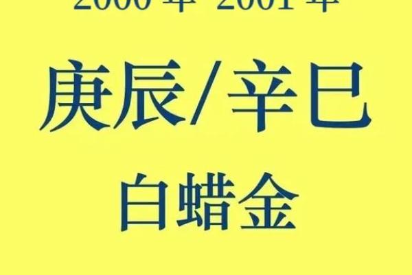 适合白蜡金命的工作选择：让你的职业之路更顺畅！