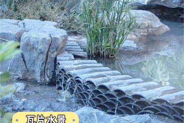 海中金命者的适宜图案与生活美学探索