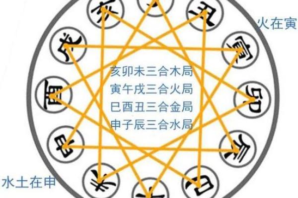 正月生日的命运解析：揭开你与众不同的命理奥秘