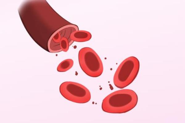 男生哪种血型命最好?解密血型与运势的关系! 男生哪种血型命最好?解密血型与运势的关系!