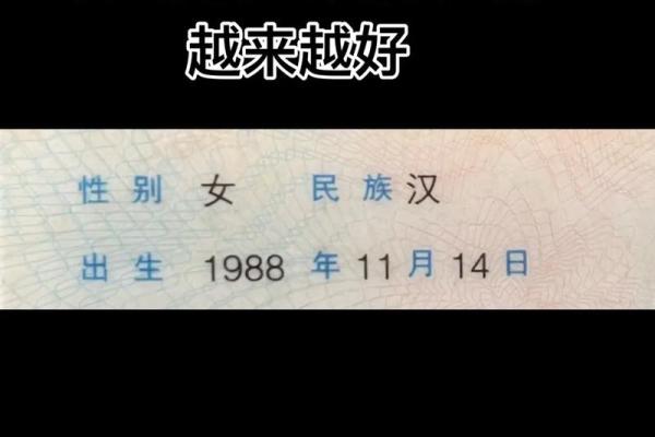 1988年出生的龙命：性格特点与缺失之解密
