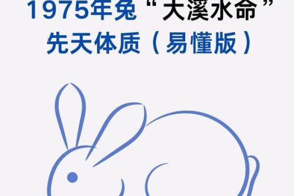 1975年属兔：探寻生肖兔的命运与性格特点