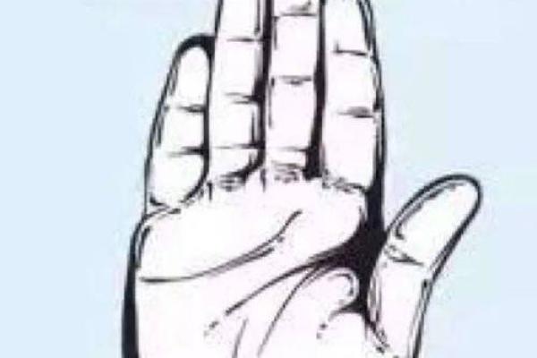 食指靠中指：探寻命运与性格的深层联系