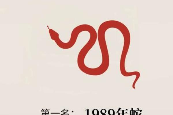 2024年生肖蛇:揭示你的命运与好运之路 2024年生肖蛇:揭示你的命运与好运之路