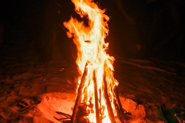 阴阳借命：探寻命运背后的奥秘与智慧