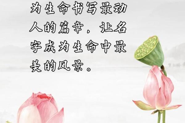 命好的人的优点：他们是如何吸引好运与成功的？