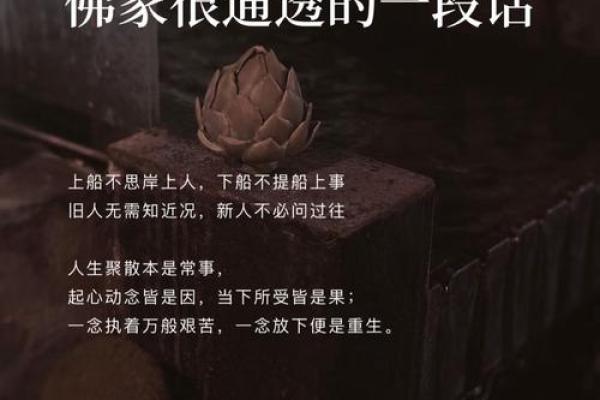 一个人的选择:为什么和尚选择出家和修行真谛 一个人的选择:为什么和尚选择出家和修行真谛