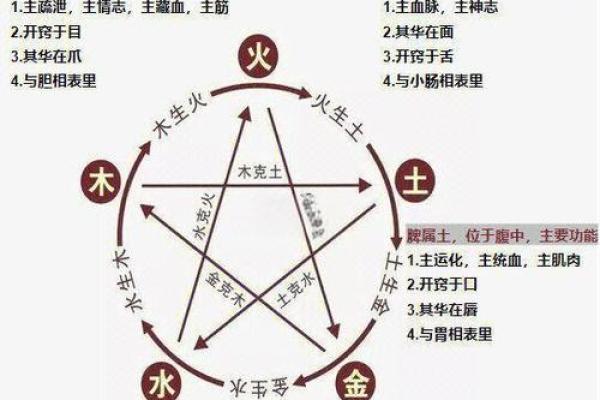 五行缺失与命运之道：如何通过五行平衡提升生活质量