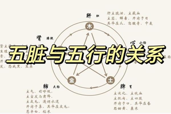 五行缺失与命运之道：如何通过五行平衡提升生活质量