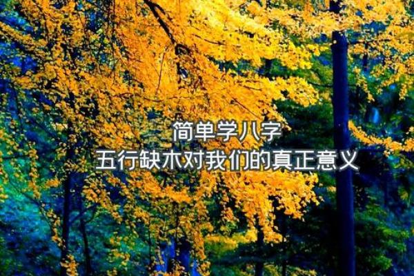 深入探讨：2023年17点41分的命理启示与生活智慧