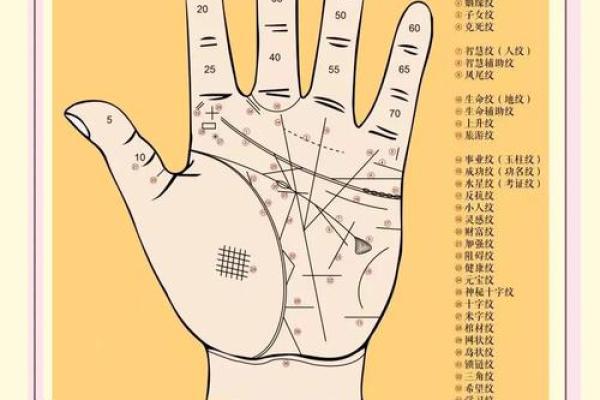 1994年出生的人命运解析：揭开命理的神秘面纱